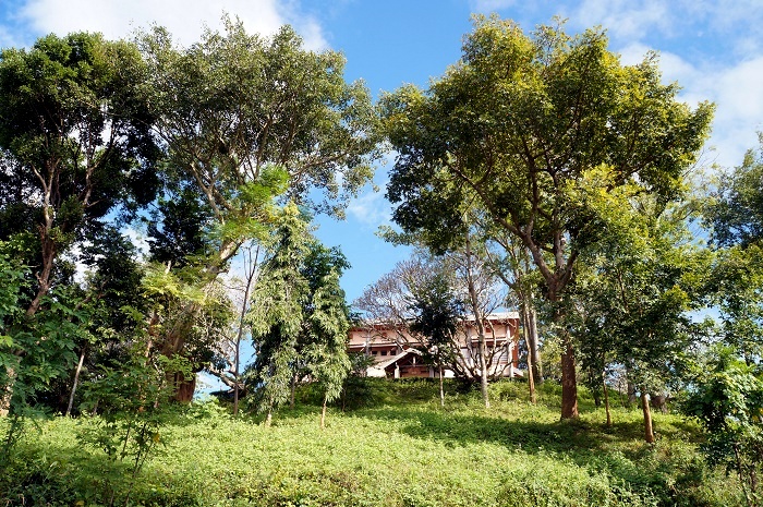 Biệt thự Bảo Đại nằm trên đỉnh đồi giữa những tán cây xanh um.