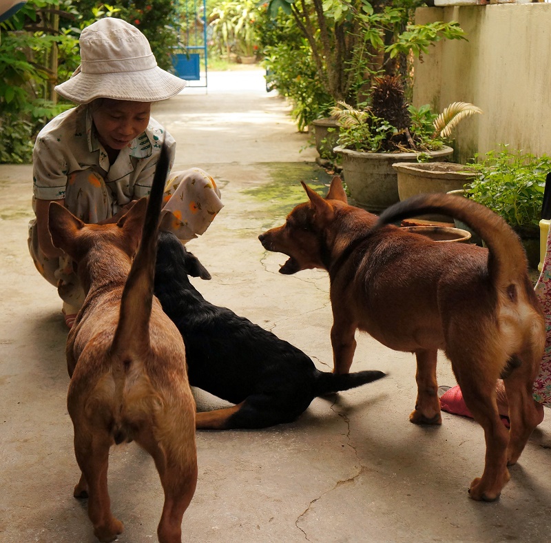 Dì Hồng đang chơi với Pha, Mít & Ních