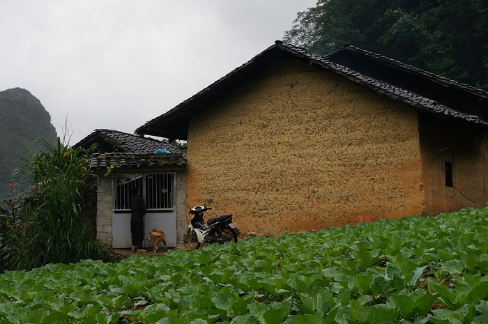 Một ngôi nhà trình tường phía sau nhà bác Già