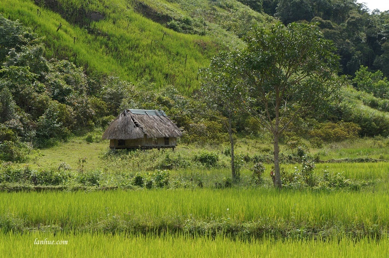 Ngôi nhà nhỏ trên núi cao