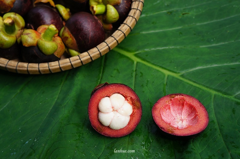 lan_hue_mangosteen_mang_cut