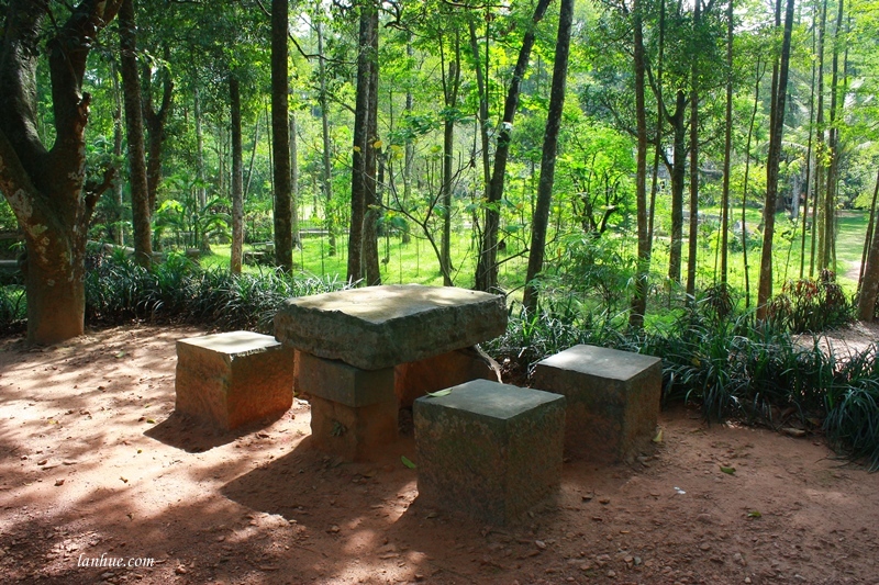 lan_hue_tu_hieu_pagoda_zen_monastery_7