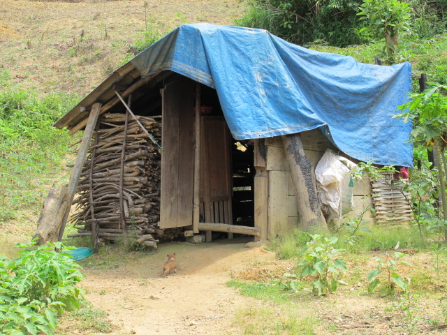 Their temporary kitchen