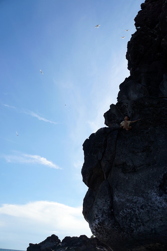 A boy climbing the rock o have a closer look at the birds