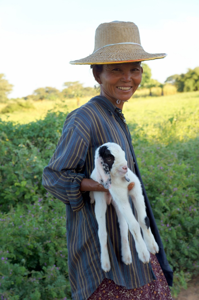 A goatherd woman (Bagan, 2013)