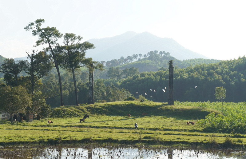 Thiên Thọ Hữu