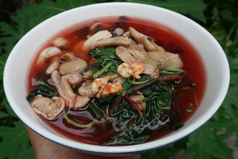 Nấm tràm clear soup with different leaves