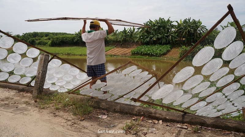 drying rice paper