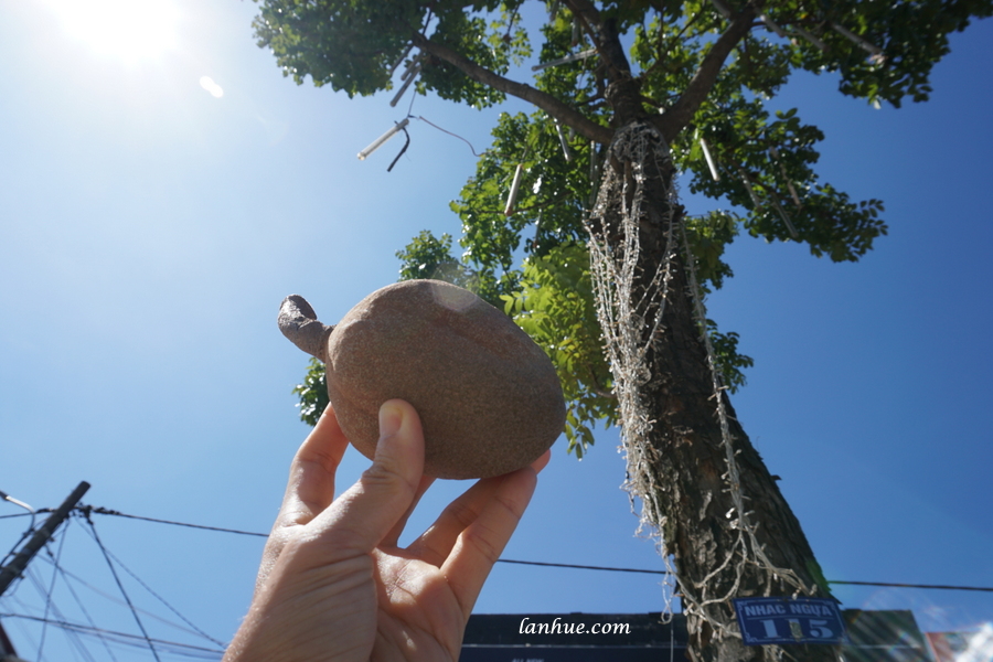 mahogany fruit