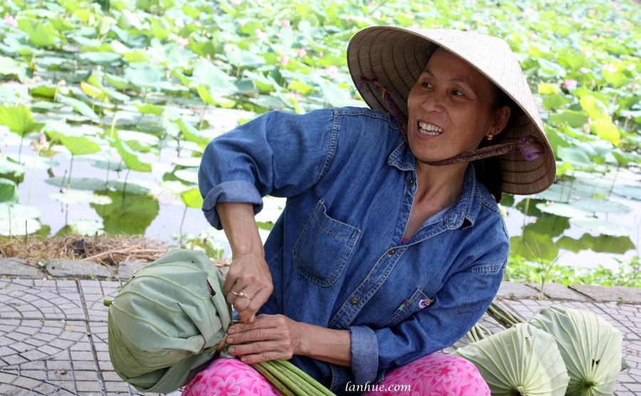 lotus blossom seller, nón lá