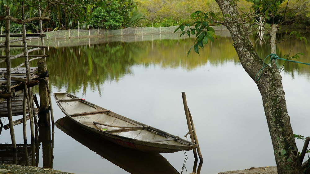 A poetic view seen from Mr. Đáp and Mrs. Hồng’s cottage