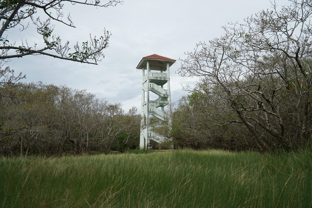 the observation tower