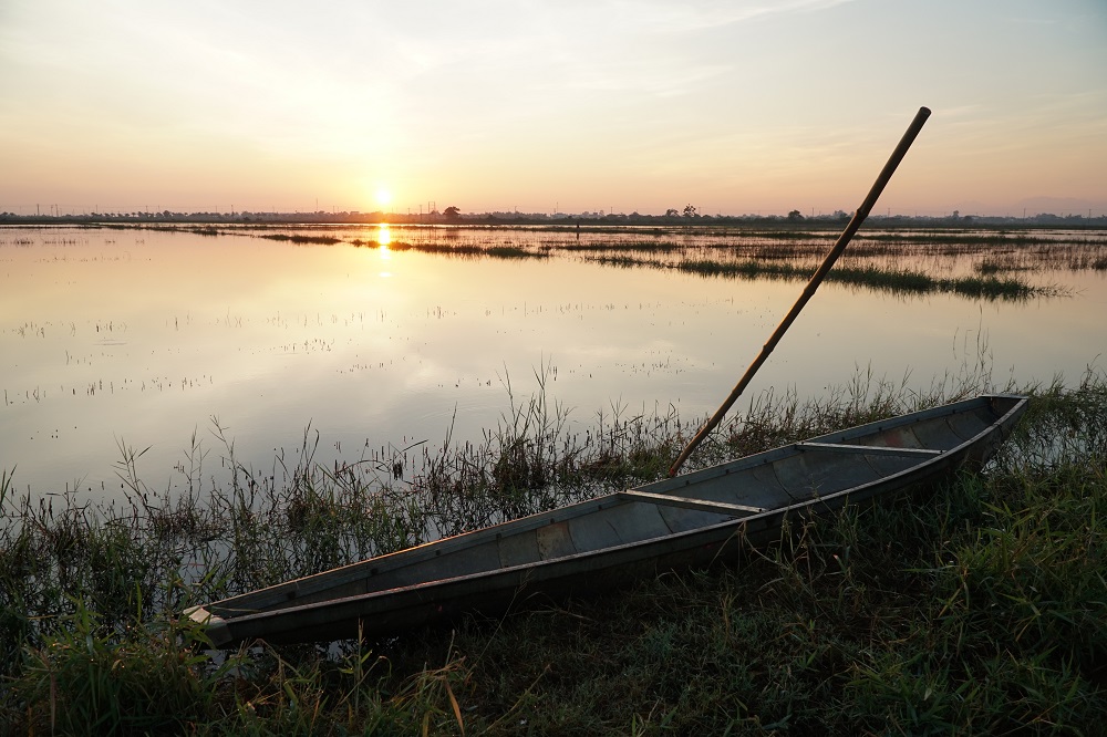 Sunrise on the paddy fields
